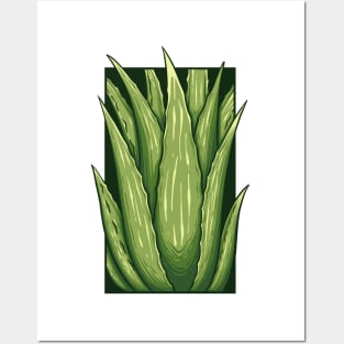 Vintage doodle illustration of Aloe vera Posters and Art